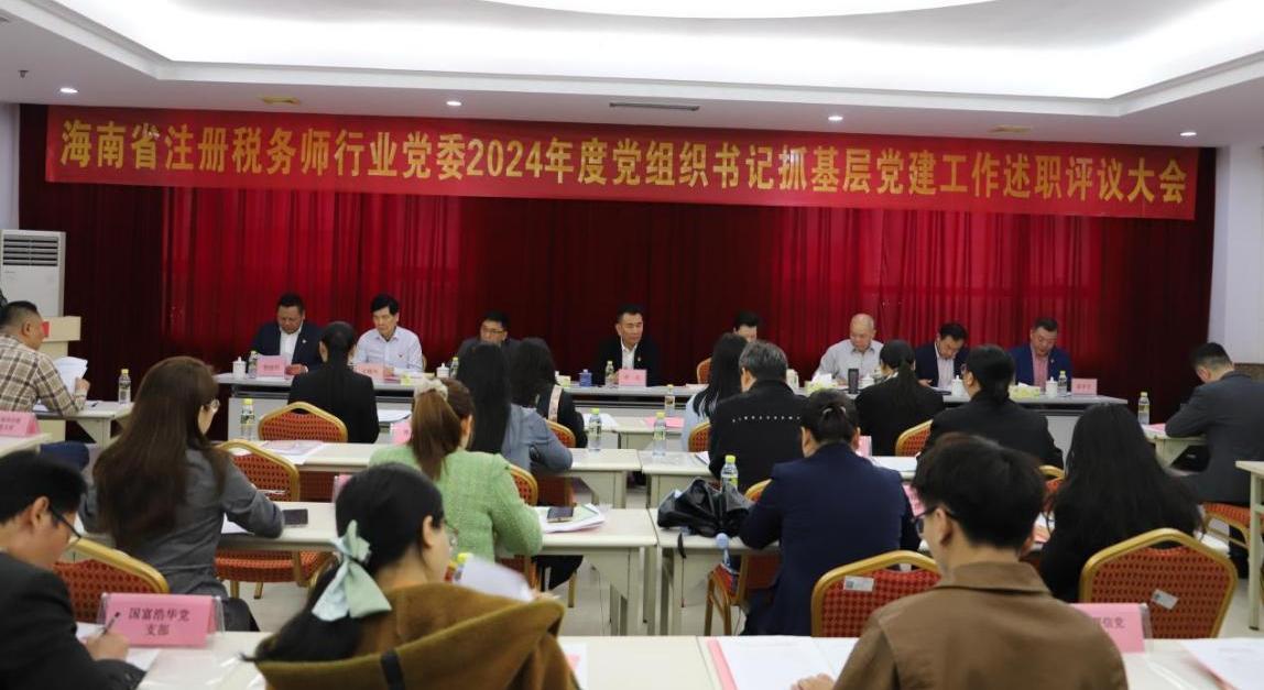 海南省注册税务师行业党委召开2024年度党组织书记抓基层党建工作述职评议会